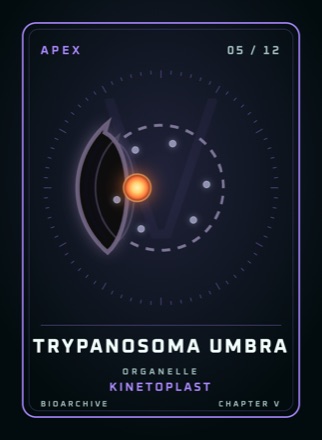 Cherta: TRYPANOSOMA UMBRA