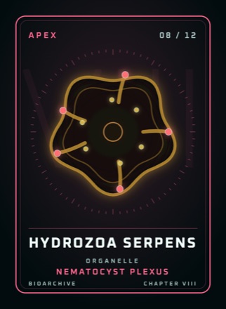 Cherta: HYDROZOA SERPENS