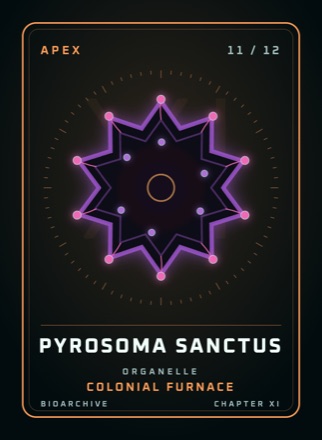Cherta: PYROSOMA SANCTUS