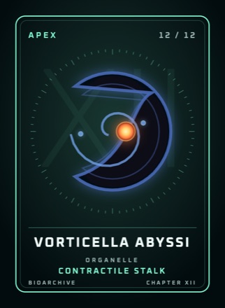 Cherta: VORTICELLA ABYSSI