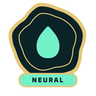 Spila smalteda: NEURAL