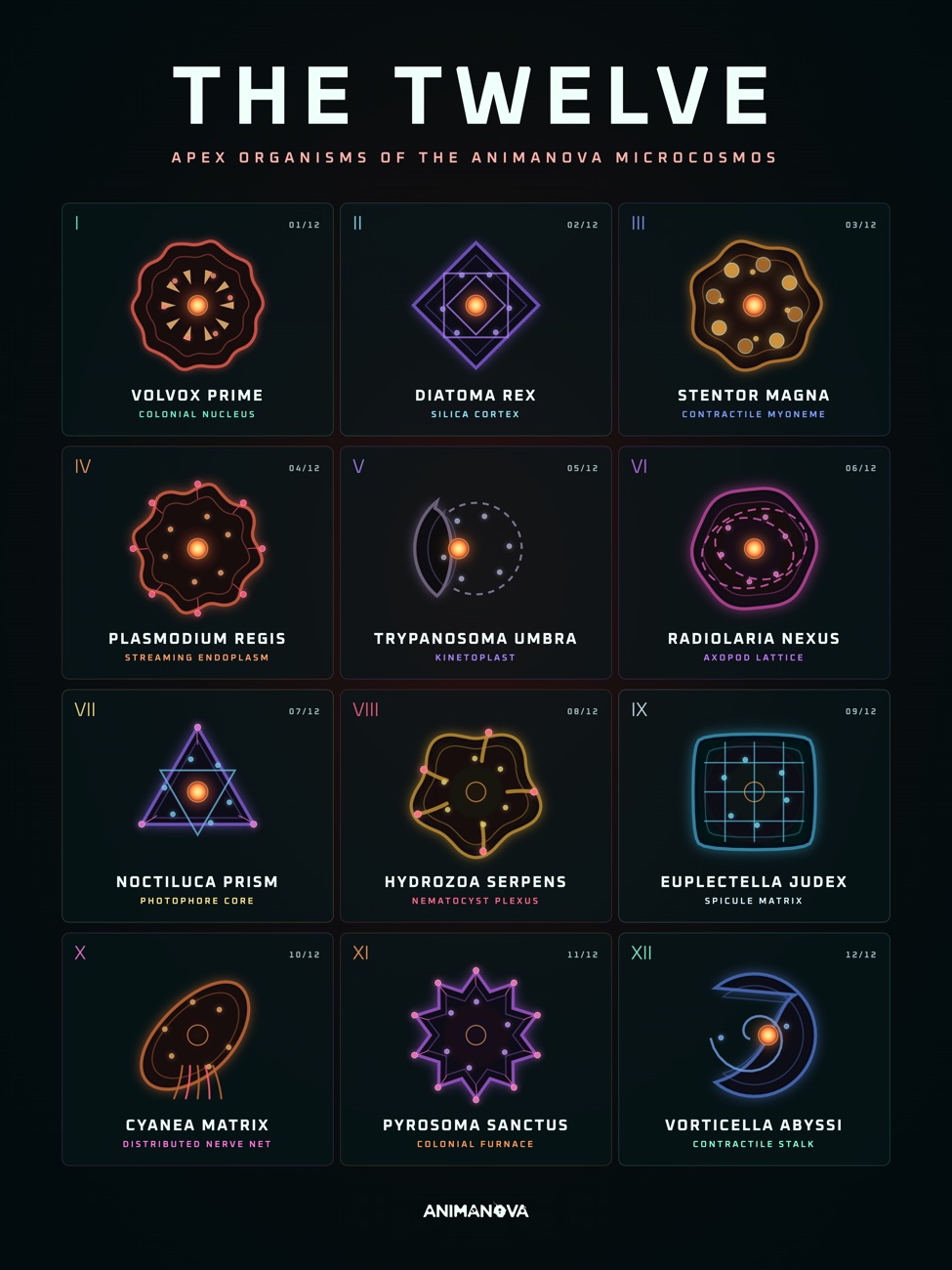 Poster: I dodesc organisms apex tl urdin di capituli