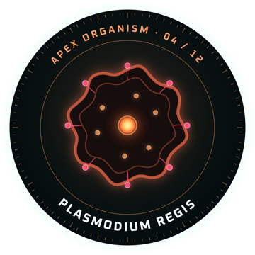 Adesif: PLASMODIUM REGIS