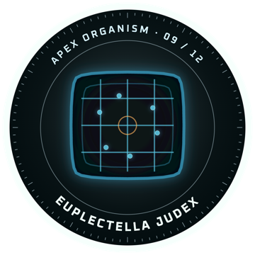 Adesif: EUPLECTELLA JUDEX