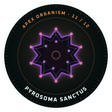 Adesif: PYROSOMA SANCTUS