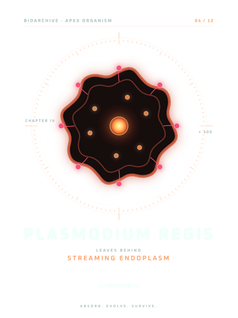 Dessëni sun la majëuta: PLASMODIUM REGIS · CURËNT ENDOPLASMATICA