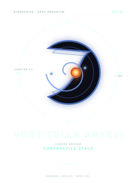 Dessëni sun la majëuta: VORTICELLA ABYSSI · STINTL CONTRATIL